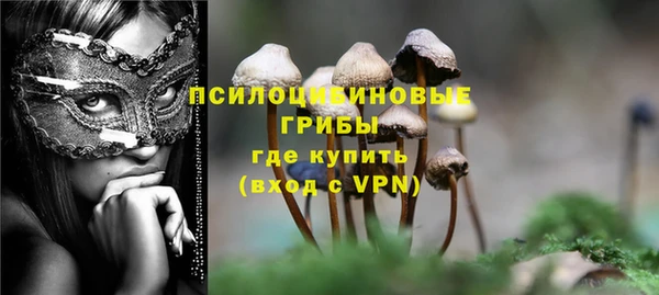 стаф Киренск