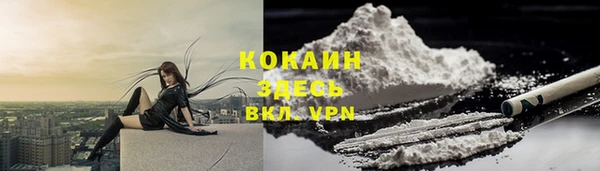 стаф Киренск