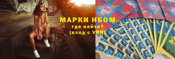 стаф Киренск