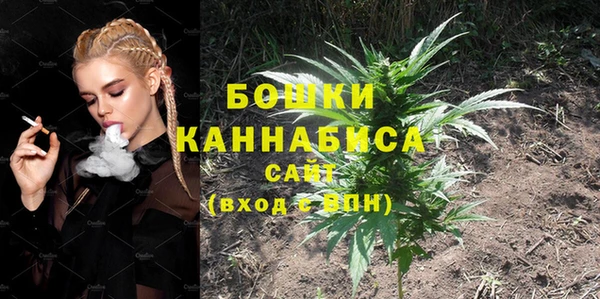 гидра Киреевск