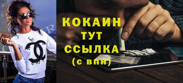 стаф Киренск
