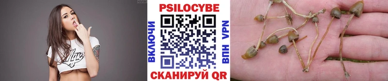 нарко площадка как зайти  Ачинск  Псилоцибиновые грибы MAGIC MUSHROOMS 